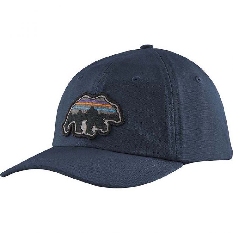 Patagonia hat best sale with bear